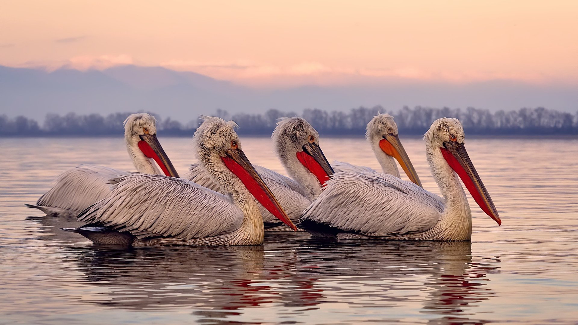 九游娱乐(jiuyou)官方网站-“德甲纵深激烈，实力派队伍狂追榜首”，德甲推荐
